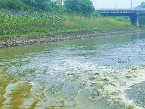 保定污水清运多少钱